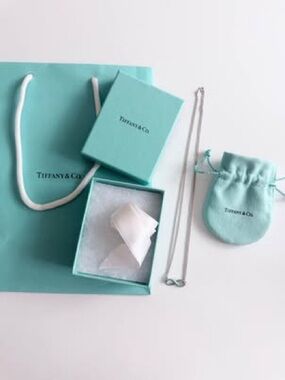Tiffany & Co. Silver Infinity Necklace with Signature Blue Accessories